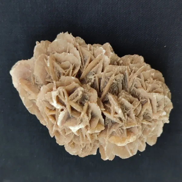 Authentic Desert Rose Gypsum Selenite cluster crystal for meditation and balance.