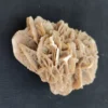 Desert Rose Crystal made of natural Gypsum Selenite mineral for décor and healing.
