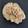 Natural Desert Rose Crystal made of Gypsum Selenite stone for healing and décor.